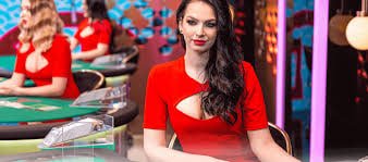 555bet