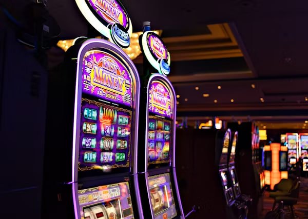 555bet